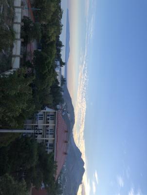 Прикрепленное изображение: 2020-08-19 19.04.18.jpg